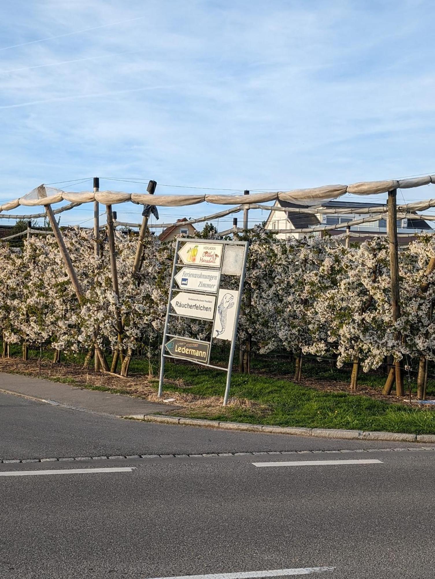 Kinderlachen Wasserburg Buitenkant foto