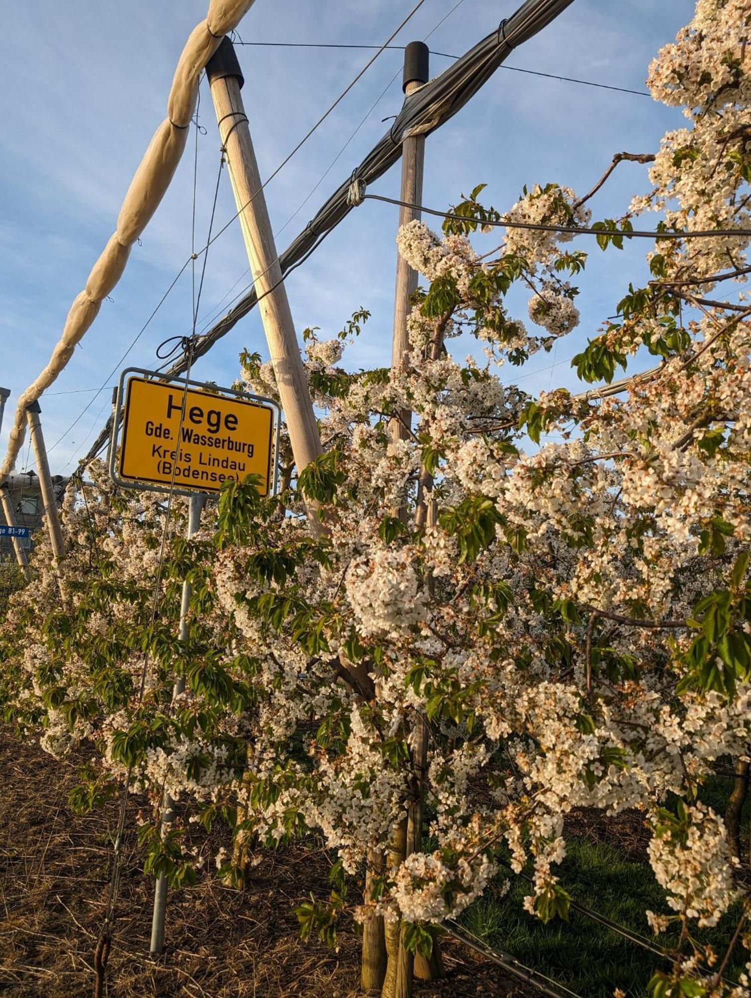 Kinderlachen Wasserburg Buitenkant foto