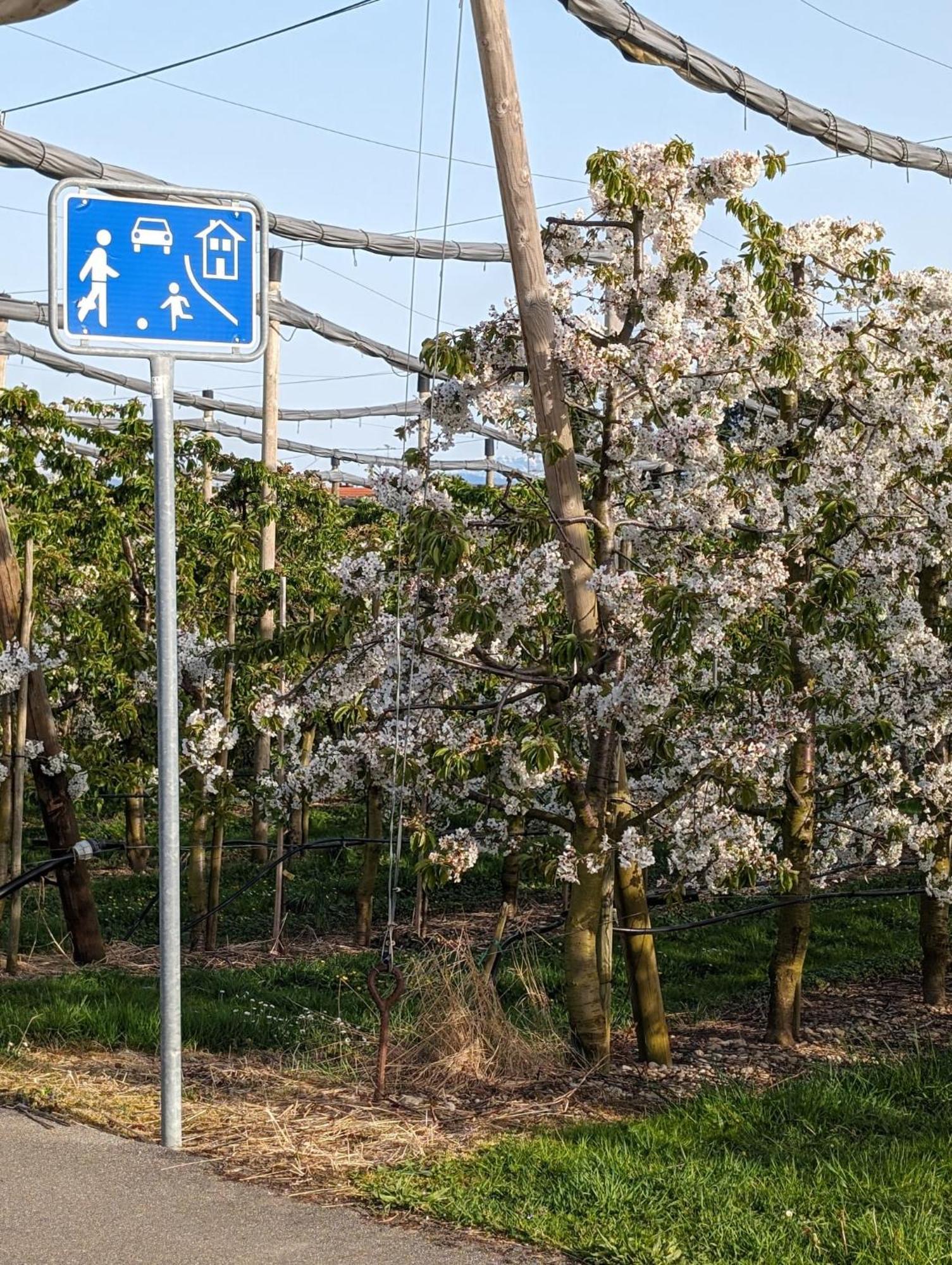 Kinderlachen Wasserburg Buitenkant foto